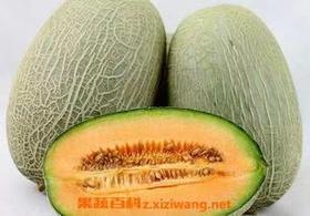 哈蜜瓜