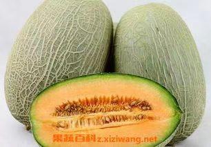 哈蜜瓜 商品图0