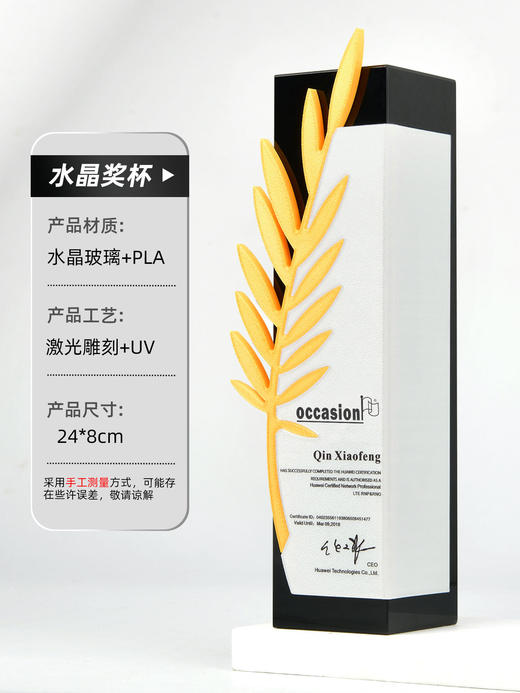 水晶奖杯奖牌定制2025新款年会议高档创意证书冠军比赛周年大奖杯 商品图10