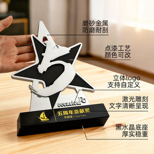 金属奖杯定制五周年颁奖奖牌表彰纪念品高级水晶定制奖牌奖章证书 商品图1