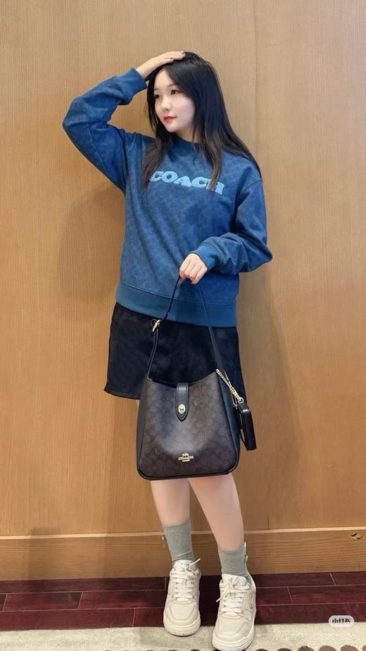 Ch女款圆领老花毛毡刺绣小标卫衣 商品图5