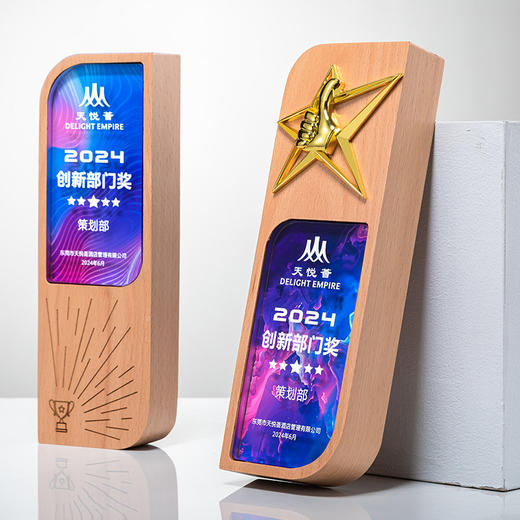 奖杯定制创意高档大气送优秀员工老师纪念品退休实木水晶奖牌 商品图9