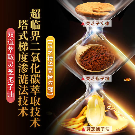 【畅销17年】元生泰牌 灵芝孢子油软胶囊 0.5g*30粒/瓶*2瓶 保肝护肝 灵芝精华浓缩中老年人营养滋补保健品 商品图2