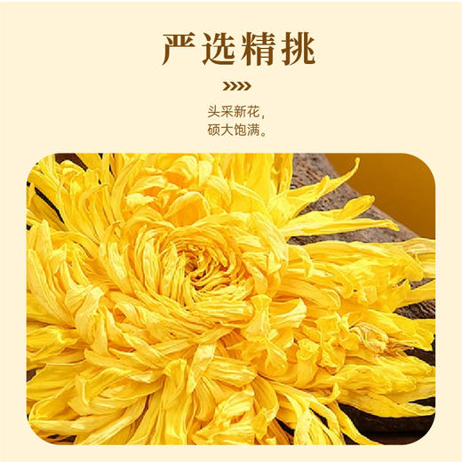 【特惠36.9】东篱下黄金甲12g【保质期至2026/7/11
】-专享价 商品图1