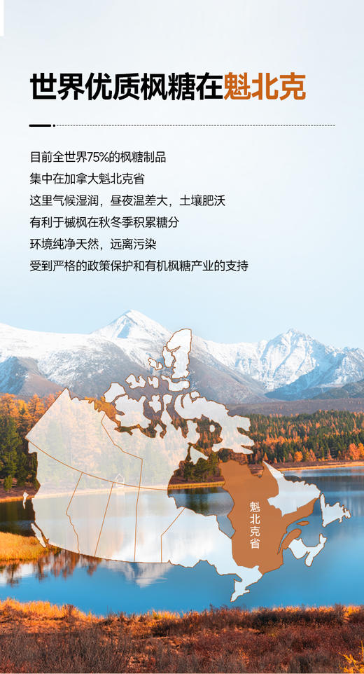 伯纳德有机枫糖浆 比蜂蜜含糖量还要低 天然有机代糖 加拿大有机认证 无任何添加 保税仓直邮 加拿大国宝  | 百里食 商品图9