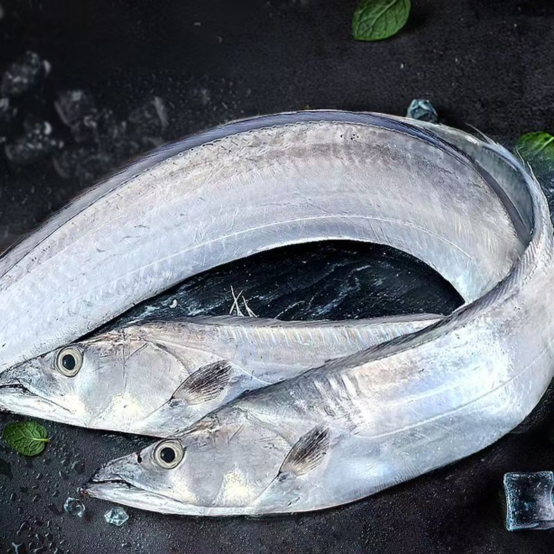 大带  鱼整个出售，以实际称重为准，多退少补）