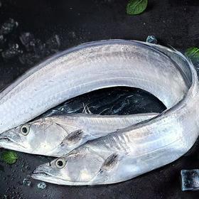 大带  鱼整个出售，以实际称重为准，多退少补）