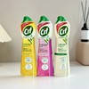 联合利华Cif晶杰 多功能清洁乳500ml升级款【该商品不支持用券】 商品缩略图0