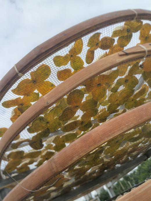 【新会柑皮】东甲圈枝大红皮 25年新皮 500g/罐 商品图3