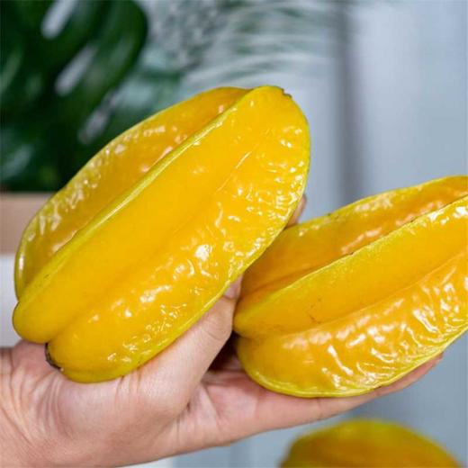 福建软枝杨桃 新鲜美味可口 汁水多 商品图1