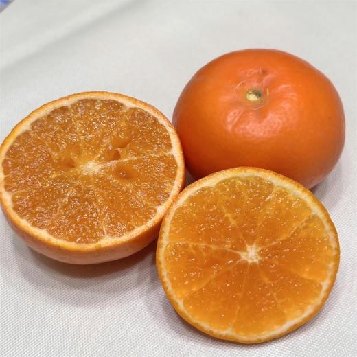 沃柑普通款5斤装 商品图3