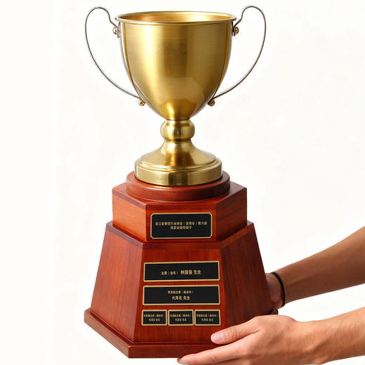 奖杯定制纯铜实木创意高档大气年会颁奖优秀员工团队销售冠军奖牌 商品图0