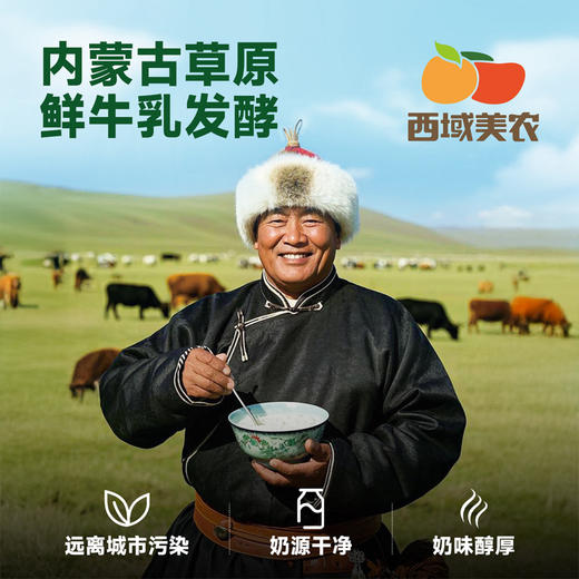 【内蒙，武功双仓发货】西域美农 内蒙古欧若姆酸奶奶皮子酸奶 专利菌酸奶  plus奶皮子酸奶1kg  每瓶添加≥200g鲜奶皮 商品图7