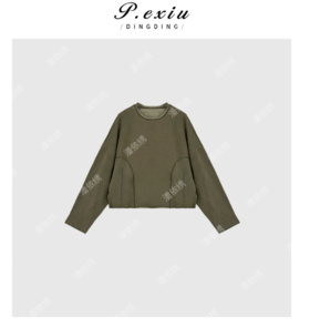 04-2潘依绣丁丁宠粉设计感水洗做旧时尚套头长袖卫衣 Q7113