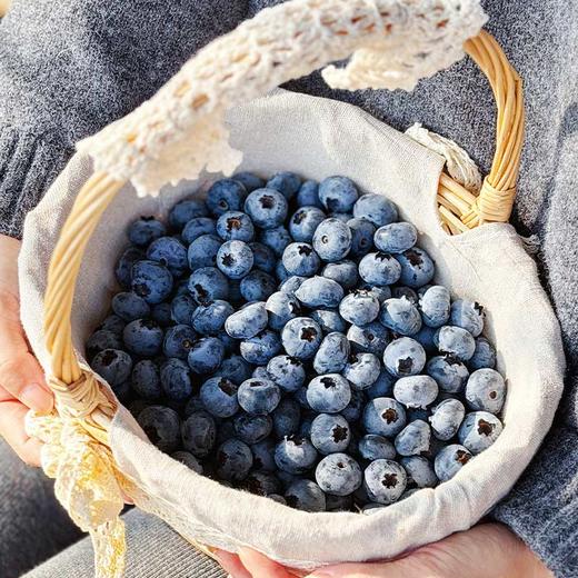 【抚仙湖蓝莓】肉质细腻，酸甜适度！花青素与维生素含量丰富！天然健康，老少皆宜！【ZNW-X】 商品图3