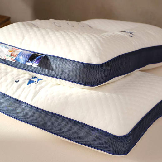 戈吉斯 疏通经络云朵舒适全棉远红外磁疗枕头 商品图5