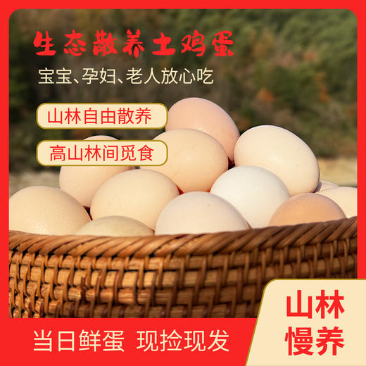昌西公社土鸡蛋浙江示范基地每月抽检30只/箱 商品图0