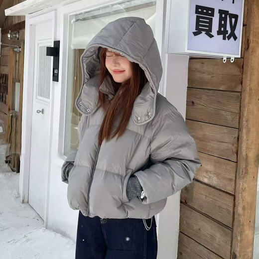 简约基本款立领带帽羽绒服-纪念日百货门店同款168393194 商品图2