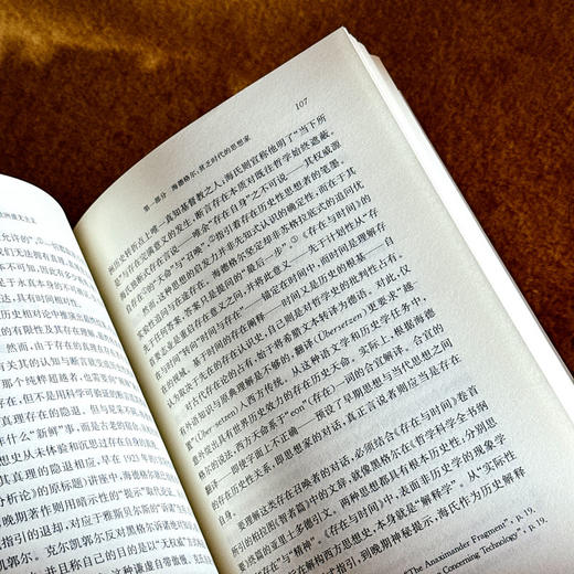 海德格尔与欧洲虚无主义 虚无主义批判译丛 卡尔·洛维特 六点图书 商品图12