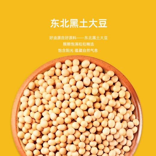 【YC】黑土地非转大豆油  10L 商品图2