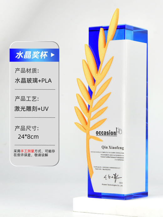 水晶奖杯奖牌定制2025新款年会议高档创意证书冠军比赛周年大奖杯 商品图5
