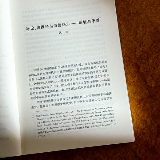 海德格尔与欧洲虚无主义 虚无主义批判译丛 卡尔·洛维特 六点图书 商品图8