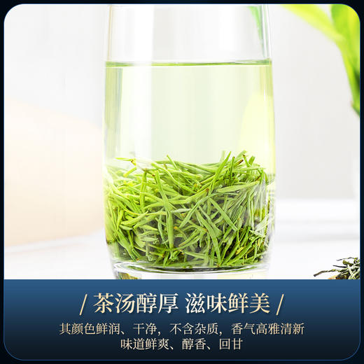 茶马世家 江山如画 特级信阳毛尖 年货节送礼200g 商品图7