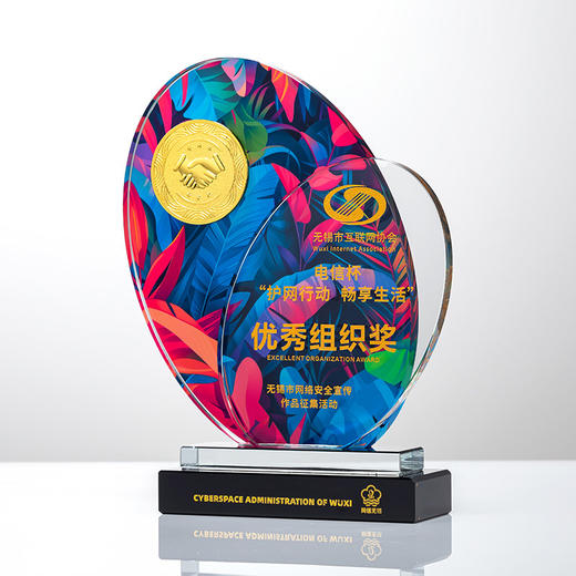 水晶奖杯创意定制定做员工公司年会活动比赛订制儿童荣誉刻字奖牌 商品图11