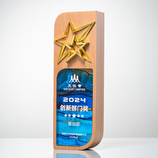 奖杯定制创意高档大气送优秀员工老师纪念品退休实木水晶奖牌 商品图5
