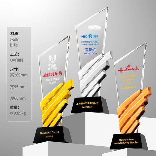 水晶奖杯定制创意翅膀造型企业颁奖奖牌表彰奖品琉璃树脂高档奖杯 商品图3