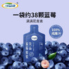 可益康蓝莓原浆饮品300ml 商品缩略图2