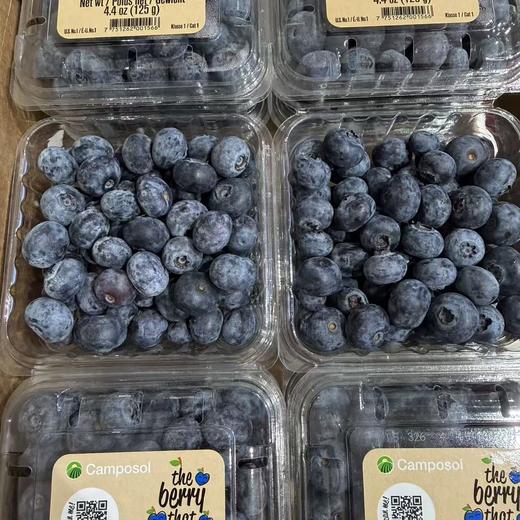 【BF】秘鲁蓝莓 线上特供 29.9 / 3盒 商品图1