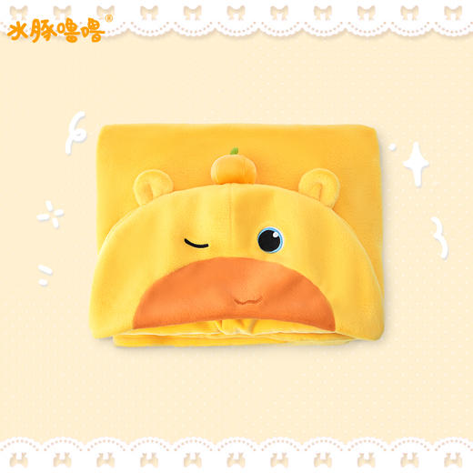 水豚噜噜毛毯-纪念日百货门店同款167997172 商品图1