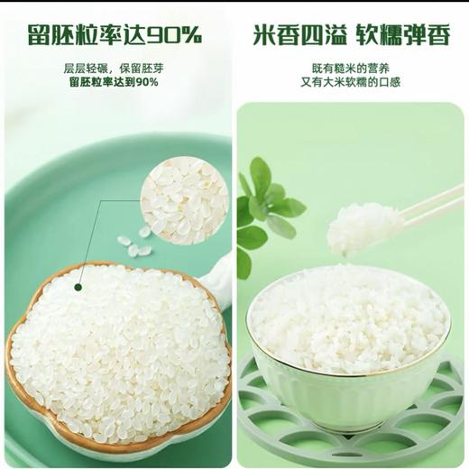【甄选】生态胚芽米2.5kg 真空锁 留胚率达90% 25年新米 软糯香甜 米香四溢 熬粥米油丰厚 售后标准见详情页 商品图3