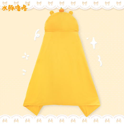 水豚噜噜毛毯-纪念日百货门店同款167997172 商品图3
