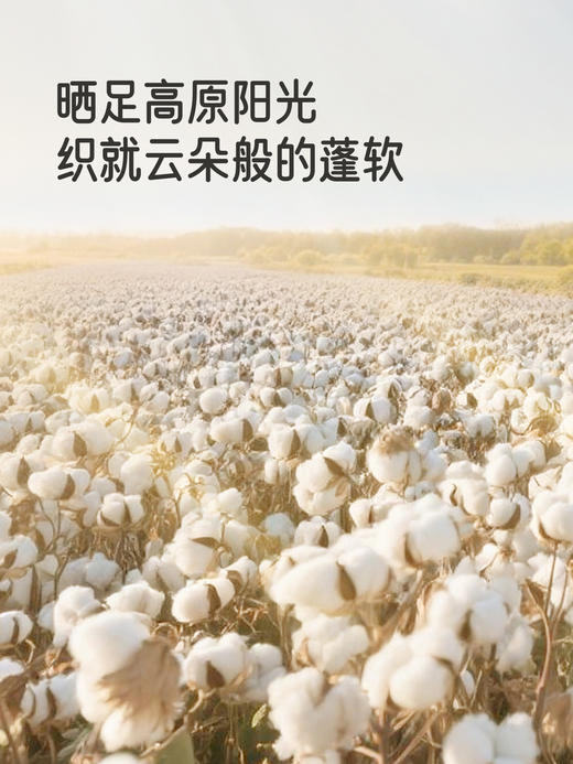 英氏婴儿连体衣秋冬款长袖新生儿衣服男女宝宝包屁衣YLAAJ0R020A YLHAJ0R021A YLDAJ0R009A 商品图2