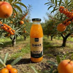 画木兰沙棘之恋沙棘汁450ml