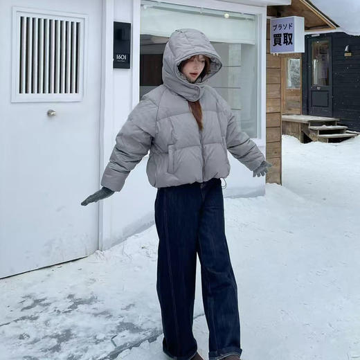 简约基本款立领带帽羽绒服-纪念日百货门店同款168393194 商品图4