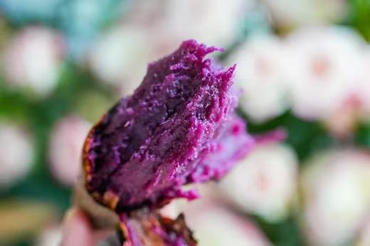 云南高原蜜糖紫薯（软糯香甜）4斤 商品图1