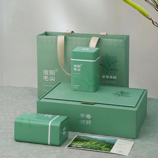 早春领鲜【绿.2听毛尖】26元1套.整箱16套 商品图3