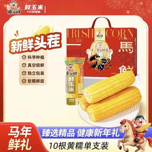 自营（山蒙海时）-傻小胖马年限定一马当鲜玉米礼盒新鲜玉米早餐甜玉米真空包装2kg 商品图1