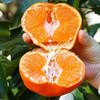 【产地直发❗️四川甘平柑橘皇后】手轻捏就能榨出汁，营养丰富！包邮应当季水果桔子，新鲜当季水果2026马年春节新年货礼物L 商品缩略图1