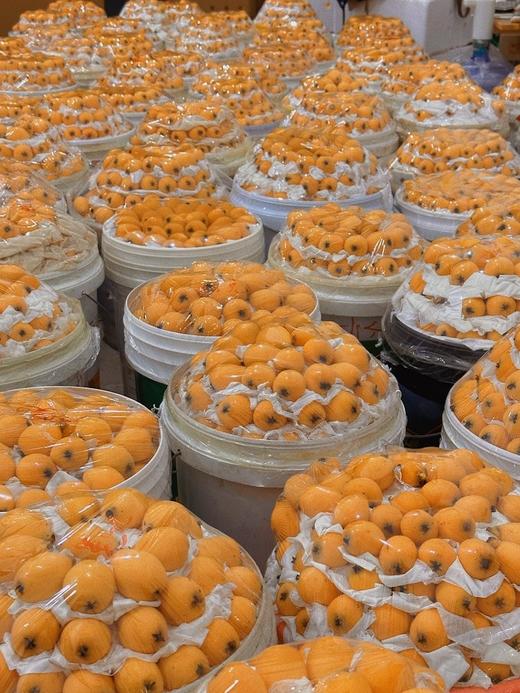 《蒙自甜枇杷》  商品图3