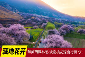 3月28日【藏地花开】醉美西藏林芝•波密桃花深度行摄7天（K）