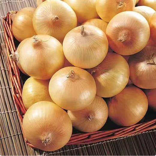 【QT】新鲜蔬菜黄洋葱 商品图1