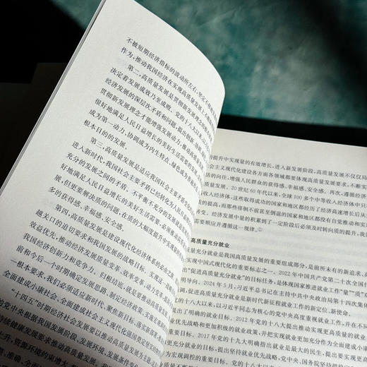 以高质量充分就业为导向的上海高校就业工作评价体系研究 徐丽红 商品图8