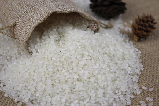 272165湿地蟹田盘锦大米Y 商品图1