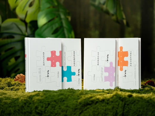 《毕淑敏四弦散谈》（精装全4册）|典雅装帧、阅读丝滑，畅销千万册，涵盖所有人生话题，陪你从生命根底里，寻找内心的宁静 商品图1