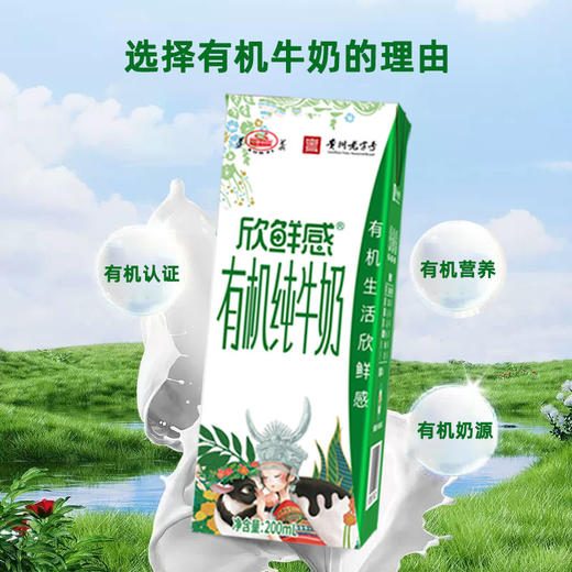 ⁵ 近效26.5.2清仓【遵义有机纯牛奶】配料表只有有机生牛乳 YY05-QTT-ZYHS 商品图2