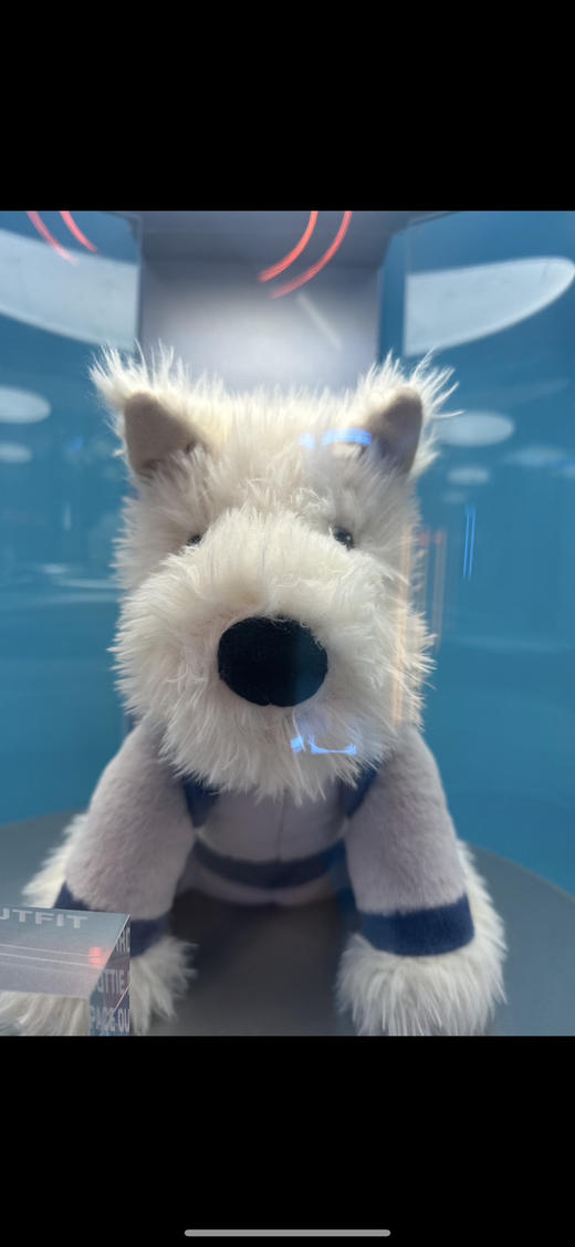 【周末秒杀 直接调价 下单即可】Jelly cat 韩国地区限定款 Munro门罗苏格兰梗狗狗公仔玩偶 商品图6